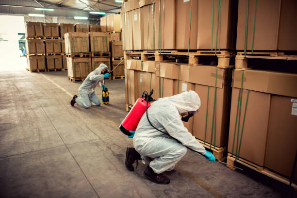 Best Mosquito Control Services  in Conover, NC