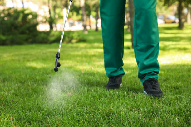 Best Pest Removal Services  in Conover, NC