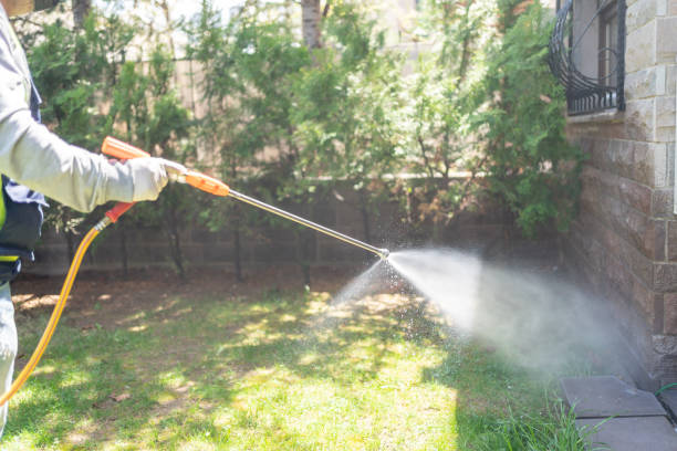 Reliable Conover, NC Pest Control Solutions