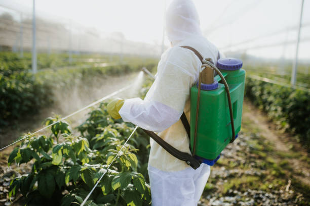 Best Pest Prevention Services  in Conover, NC